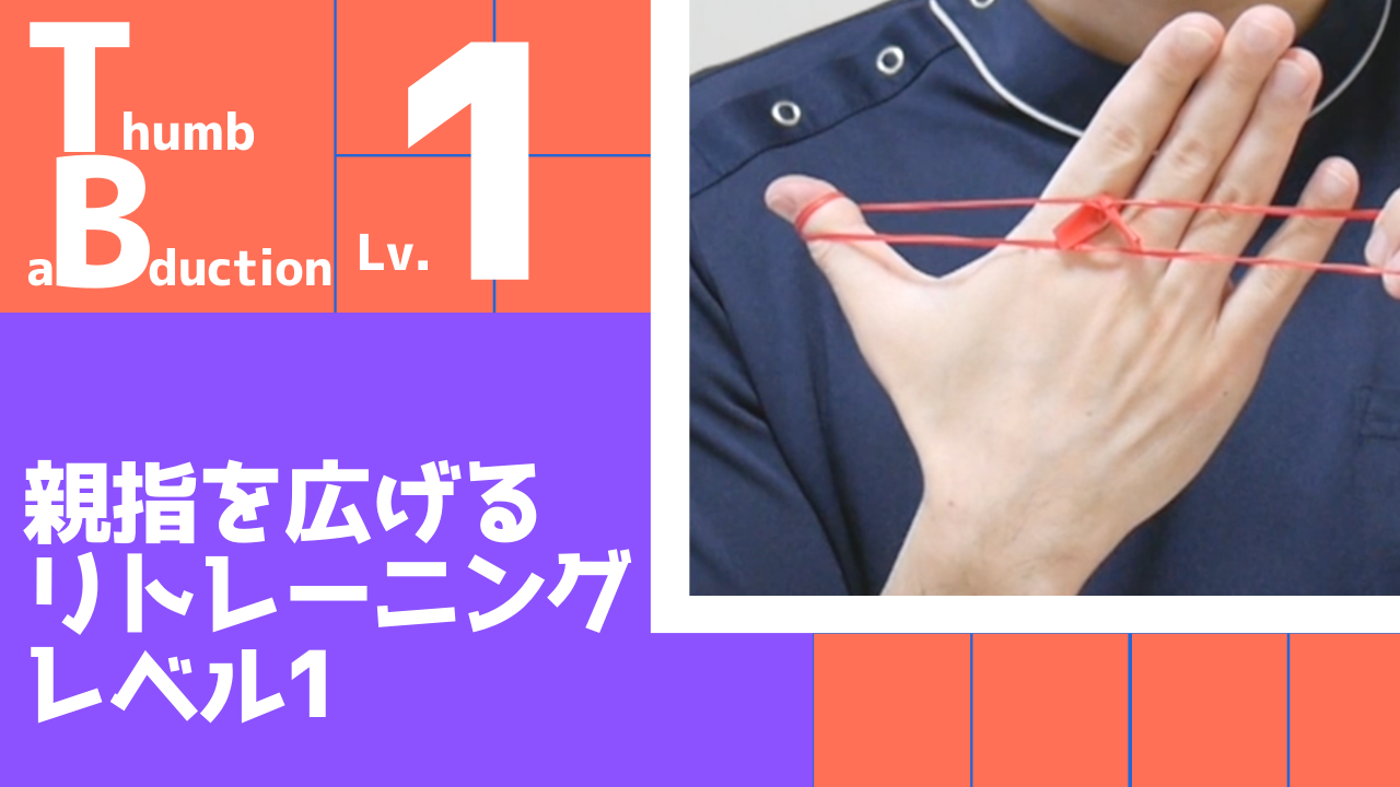 【TB1】親指を広げるリトレーニングレベル1